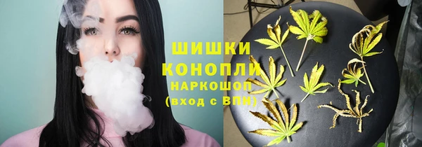 сатива Арсеньев