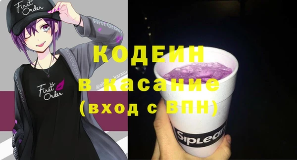 сатива Арсеньев