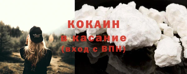 сатива Арсеньев