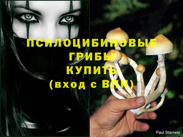 сатива Арсеньев