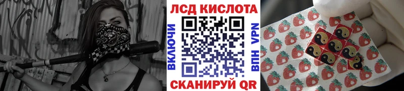 купить цена kraken рабочий сайт маркетплейс телеграм Шадринск Марки 25I-NBOMe 1500мкг