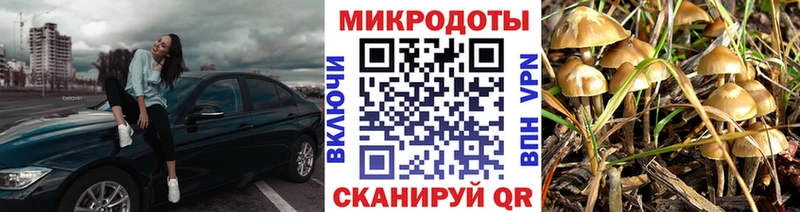 даркнет состав Шадринск Псилоцибиновые грибы MAGIC MUSHROOMS